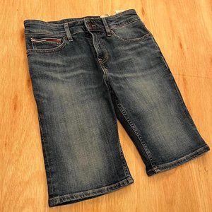 Tommy Hilfiger Mens Blue and Navy Shorts